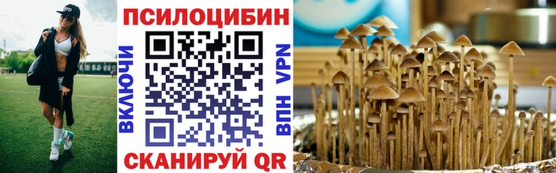маркетплейс состав  Каневская  Псилоцибиновые грибы прущие грибы 